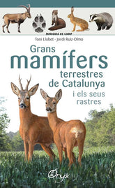 GRANS MAMIFERS TERRESTRES DE CATALUNYA I ELS SEUS RASTRES - 9788490347881